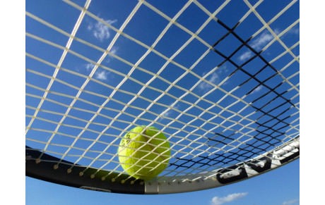 Résultats sportifs